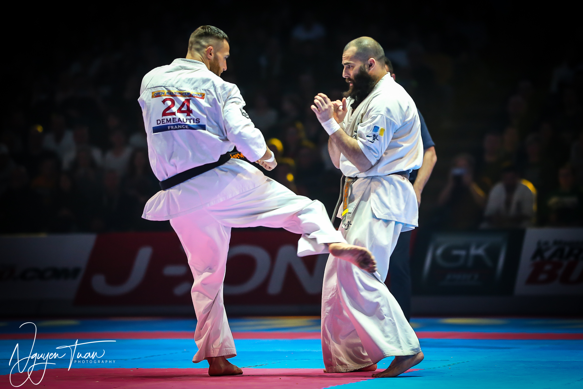 20190324 Festival des Arts Martiaux 6075